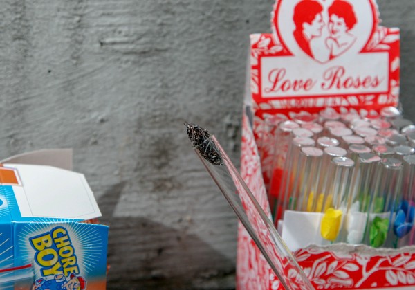 A glass tube with burnt scouring pad in one end; open boxes of multicolored love roses and scouring pads are in the background